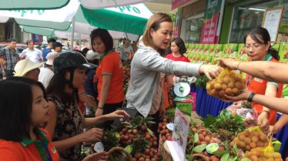 Vải thiều Bắc Giang đã xuất đi hơn 30 nước, giá trị 153 triệu USD