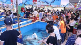 Quảng bá, giới thiệu cá Sông Đà đến với người dân Thủ đô
