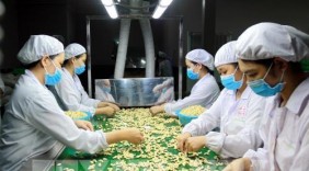 Nông thủy sản, thực phẩm và đồ uống Việt Nam chinh phục hội chợ lớn nhất Bắc Mỹ