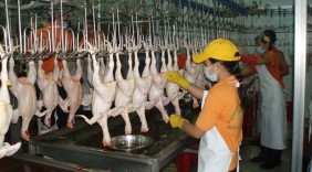 Thêm cơ hội xuất khẩu thịt gà chế biến sang Nhật Bản