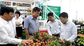 Khơi mở thị trường cho nông sản