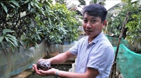 Nghỉ việc lương chục triệu, kỹ sư trẻ khởi nghiệp cùng con ếch