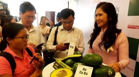 Mang quả bơ Việt Nam ra nước ngoài