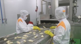 Thịt heo, gà Việt tự tin xuất ngoại