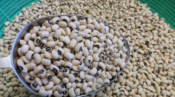 Món ăn thuốc từ đậu trắng