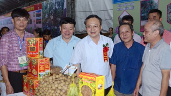 Khai mạc Lễ hội nhãn lồng tỉnh Hưng Yên năm 2018