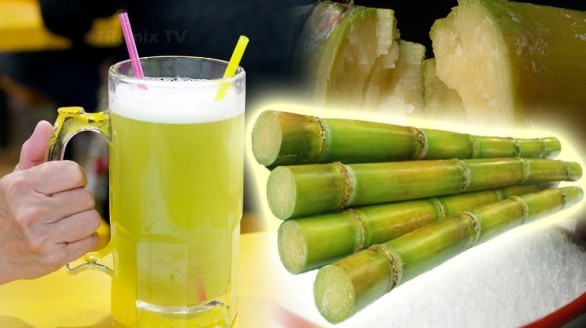 Các bài thuốc hay từ cây mía