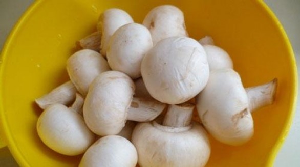 Nấm mỡ - Món ăn bổ dưỡng và chữa bệnh