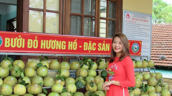 Thu cả chục tỷ đồng/năm từ trồng bưởi đỏ