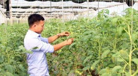 8X chia sẻ câu chuyện khởi nghiệp thành công từ rau sạch