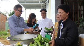 Chuối Laba của nông dân Ðạ K'Nàng sang Nhật