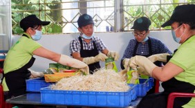Giảng viên đại học làm nông dân trồng rau sạch