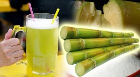 Các bài thuốc hay từ cây mía
