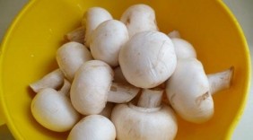 Nấm mỡ - Món ăn bổ dưỡng và chữa bệnh