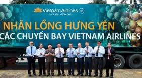 Nhãn lồng Hưng Yên lên các chuyến bay của Vietnam Airlines
