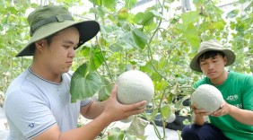 Tập trung hỗ trợ xuất khẩu nông sản