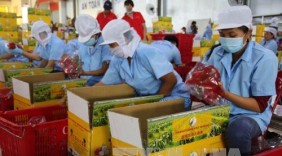 Cơ hội cho nông sản Việt Nam xuất khẩu sang thị trường EU
