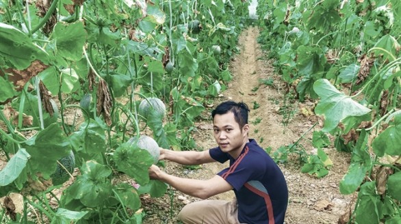 Khởi nghiệp thành công với giấc mơ làm nông sản sạch ở tỉnh nghèo