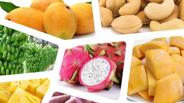 600 gian hàng nông sản, thực phẩm tại Vietnam Foodexpo 2018