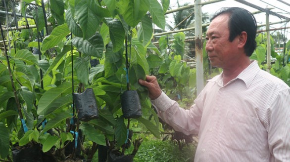 Kiếm lời tiền tỉ từ sản xuất cây giống