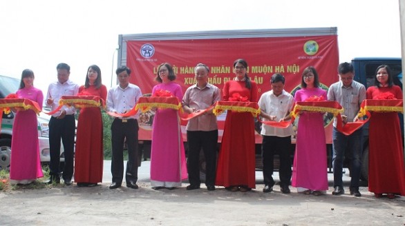 Hà Nội khởi hành xe xuất khẩu nhãn chín muộn sang Châu Âu và Mỹ
