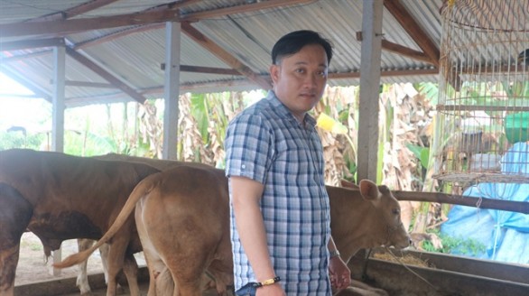 Người tiên phong khởi nghiệp nuôi bò Charolais thành công