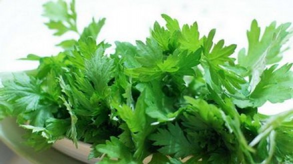 Tác dụng phụ đáng sợ của rau ngải cứu ít người biết