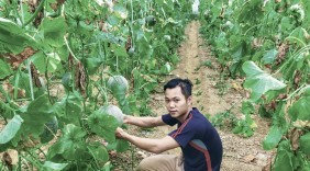Khởi nghiệp thành công với giấc mơ làm nông sản sạch ở tỉnh nghèo