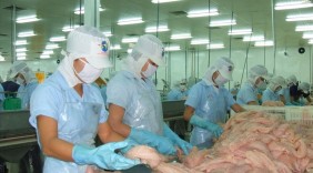 Lần đầu tiên xuất khẩu cá tra cán mốc 2 tỉ USD