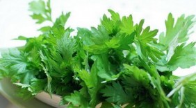Tác dụng phụ đáng sợ của rau ngải cứu ít người biết