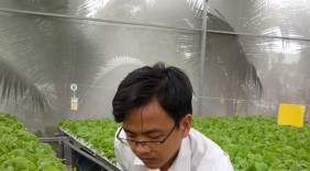 8X Sài Gòn bỏ ngân hàng lương cao về 