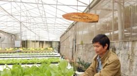 Xuất khẩu mặt hàng rau quả vượt 500 triệu USD so với xuất khẩu gạo