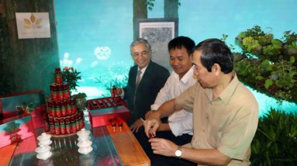 Độc đáo Hội chợ sâm Ngọc Linh