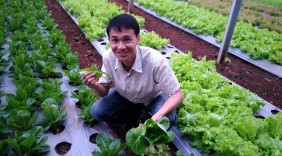 Mô hình nông nghiệp thông minh của kỹ sư 8x