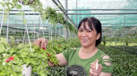 “Nữ hoàng” vương quốc hoa kiểng khởi nghiệp từ 5 chậu son môi