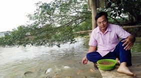 Làm giàu thành công từ nuôi cá nhiều tầng