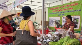Thúc đẩy kết nối cung - cầu hàng hóa giữa Hà Nội và các địa phương