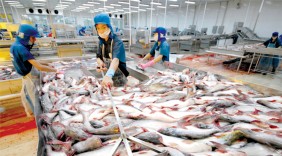 Khai phá thị trường Trung Đông cho hàng Việt
