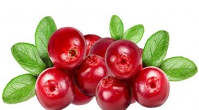 Chế độ dinh dưỡng cho người bị viêm loét dạ dày