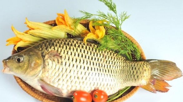 Cá chép - Bổ âm, chữa bệnh phụ nữ
