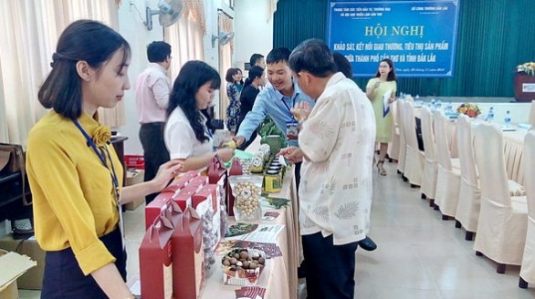 Kết nối giao thương tiêu thụ sản phẩm nông sản Đắk Lắk