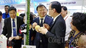 TP. Hồ Chí Minh: Tăng cường kết nối cung cầu