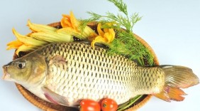 Cá chép - Bổ âm, chữa bệnh phụ nữ