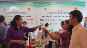 Nhiều doanh nghiệp hái 
