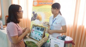 Cô giáo Đồng Tháp khởi nghiệp với nông sản quê hương
