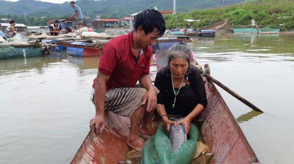Sắp công bố thương hiệu Tôm Sông Đà Hòa Bình, Cá Sông Đà Hòa Bình