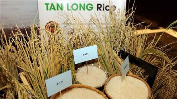 Định vị giá trị và hình ảnh cho sản phẩm gạo Việt Nam