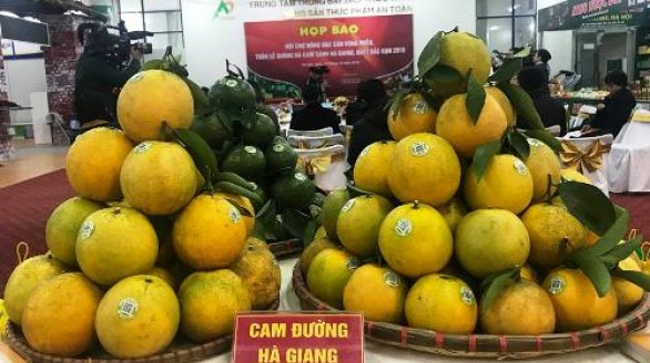 Sắp diễn ra Hội chợ quảng bá cam sành Hà Giang, quýt Bắc Kạn năm 2018 tại Hà Nội
