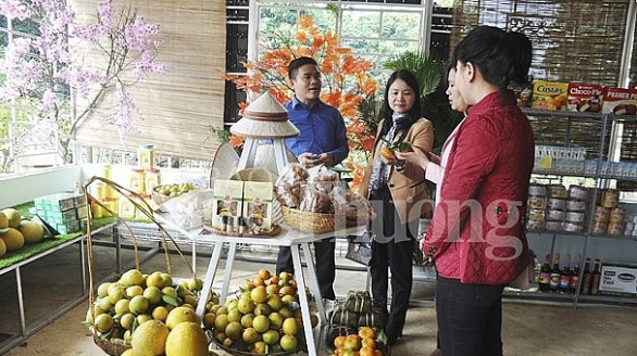 Nghệ An: Thêm mô hình Điểm bán hàng Việt Nam