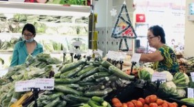TP HCM hiến kế hạn chế tình trạng 